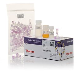 Thermo Scientific™ GeneJET PCR Purification Kit, 250 Preps